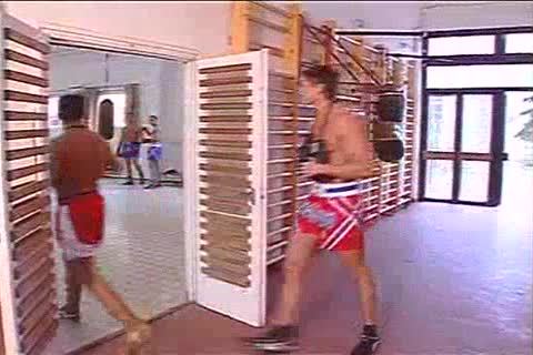 trio Stair wank And Solo washroomroom toy