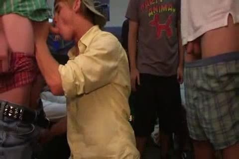 College twinks sucking And hammering