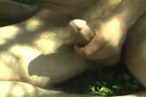 Turkish dad Fux twink