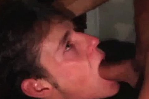 Very nice raw swallow