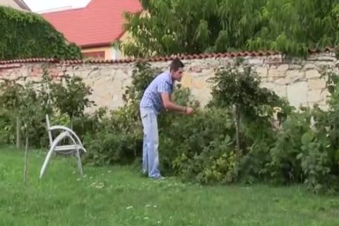 sweet homo man Sucks Boyfriends cock And nails Him In The a-hole