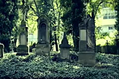 tied The boy From The Cemetery