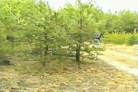 twinks Crush Permissive Disbelieve