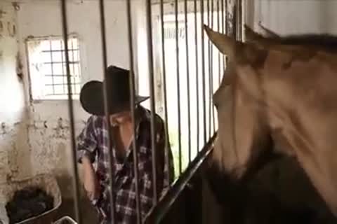 lustful boyz pound In The Farm