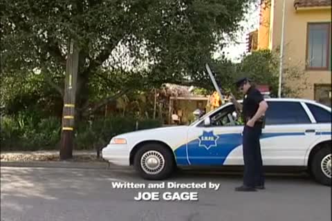 I Always Wanted To plow A Cop