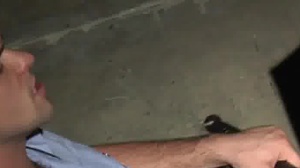 Str8toGay.com: Inked Aspen with Kurt Wild fun with toys