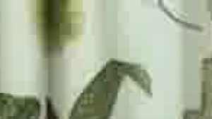 BoysFirstTime.com - Sex with Dylan Drive & Scott Harbor