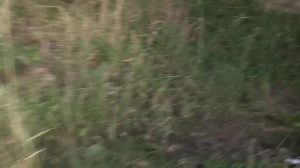 CzechHunter: Naughty gay has a soft spot for hard ramming