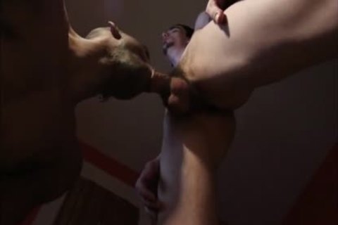 Interracial Breeding