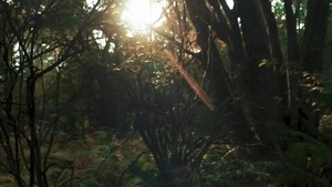 Drill My Hole - Kurtis Wolfe threesome porn