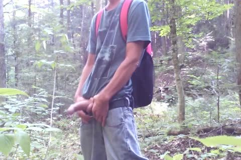 Forest And Nature Are My much loved Places. two