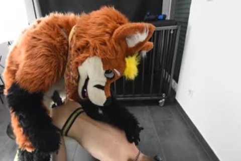 Puppy gets drilled By Fursuit With  dildo