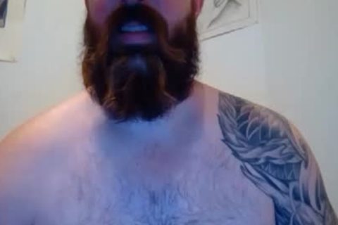 BEARDGAME227 IS LOOKING FOR A BEAR
