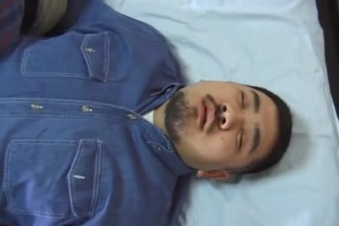 (Japanese)(Samson) - bushy fat Bear And His Companion