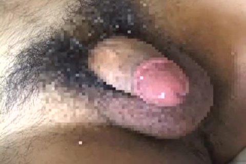 (Japanese)(Samson) - oriental chunky,Former Captain Rugby Club