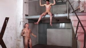 Screaming for More Whipping