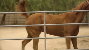 Icon Male: Filling Those Tight Spaces Together