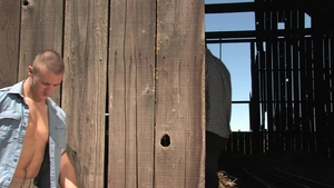 Falcon Studios: Ryan's hard dick through the knot hole